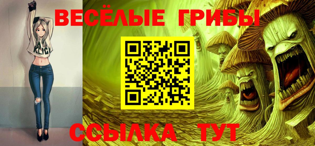 Люберцы  Псилоцибиновые грибы Psilocybe  Вход с VPN 