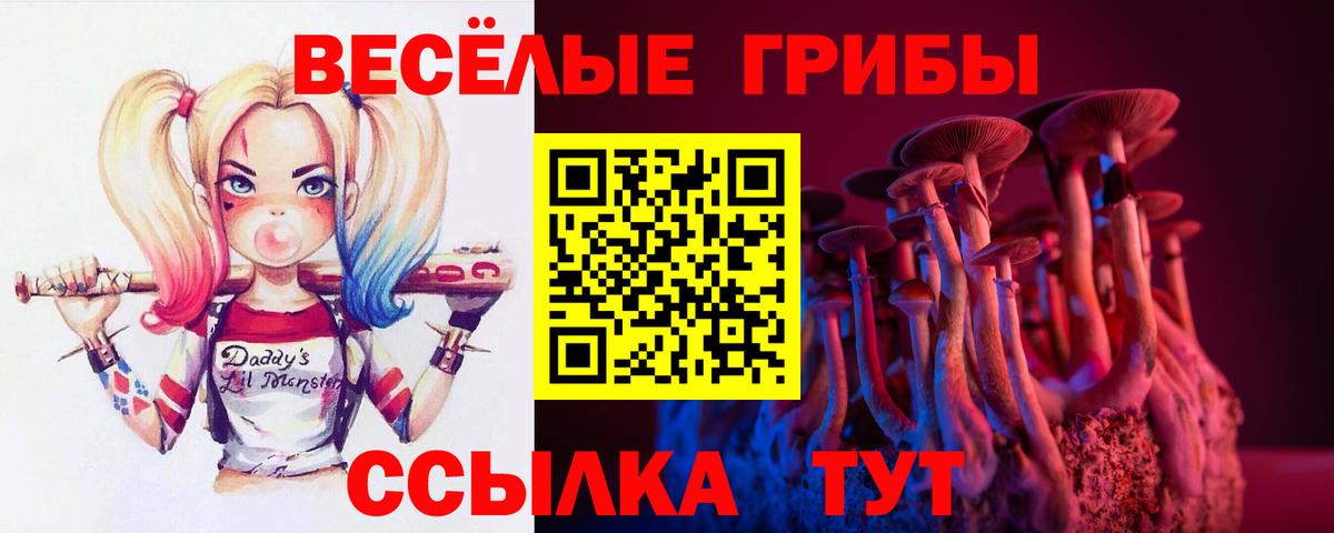 Псилоцибиновые грибы Psilocybine cubensis Люберцы